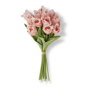 Parrot Tulip Bundle