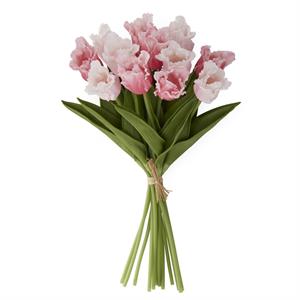 Parrot Tulip Bundle