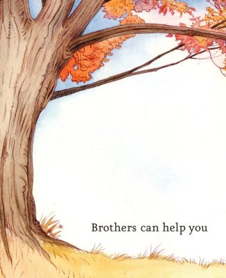 What Brothers Do Best Book