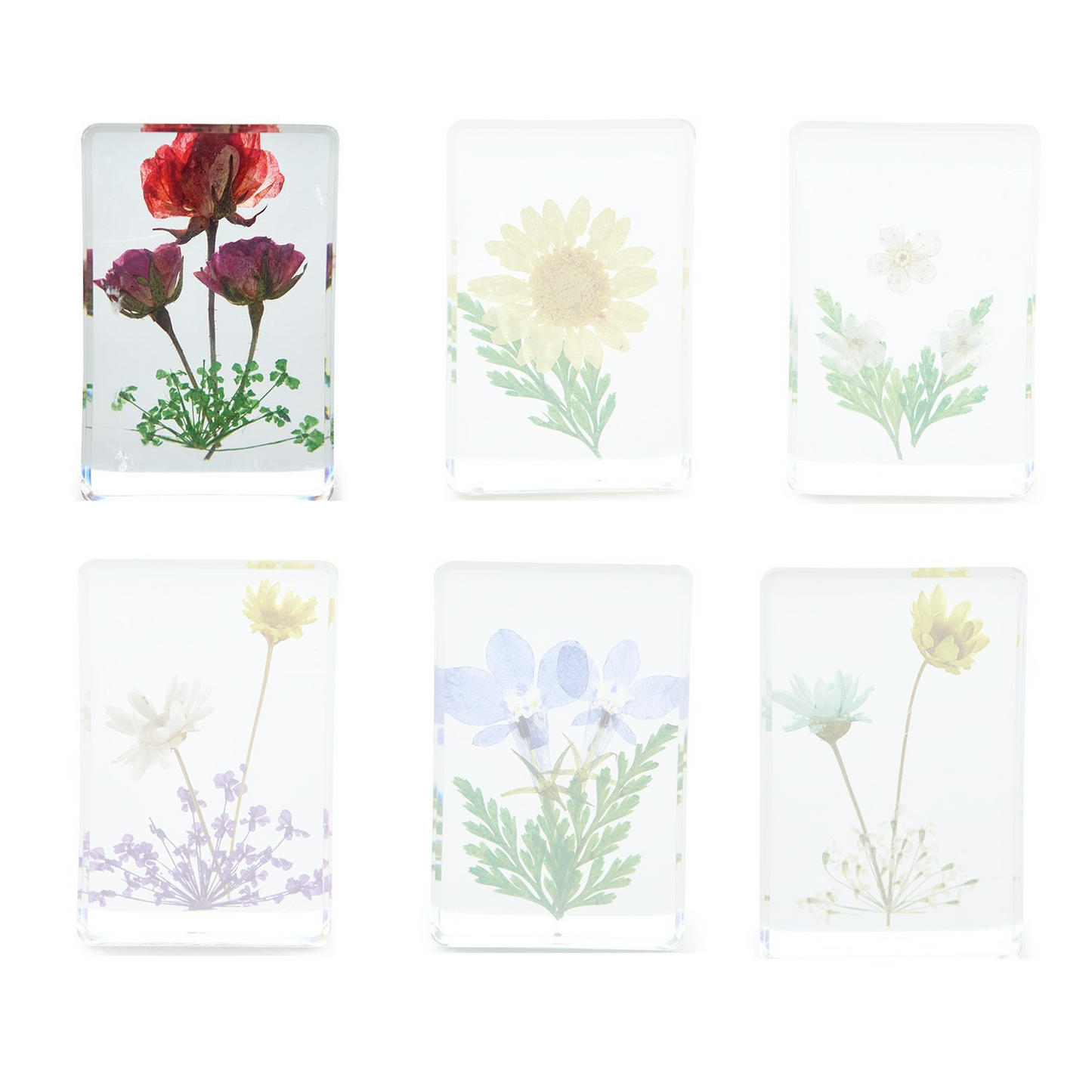 Wildflowers Pressed Floral Keepsake in Gift Box