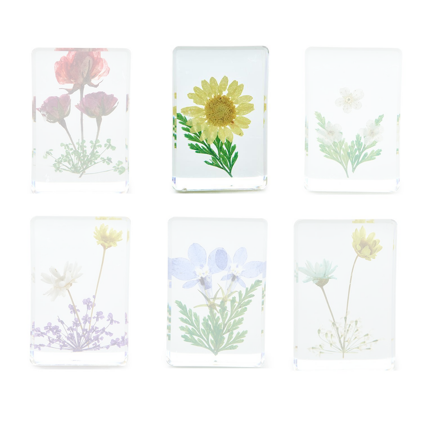Wildflowers Pressed Floral Keepsake in Gift Box