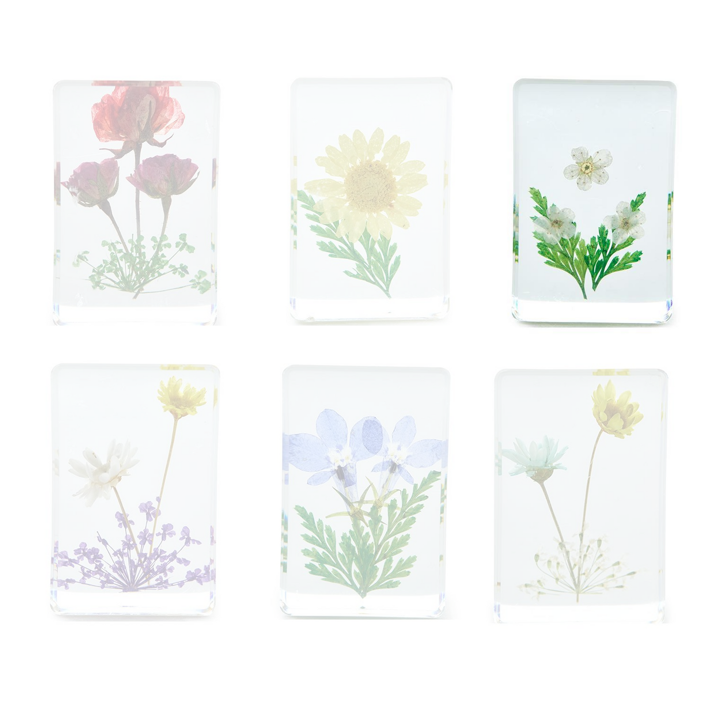 Wildflowers Pressed Floral Keepsake in Gift Box
