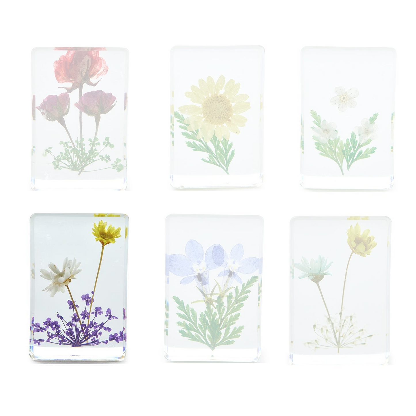 Wildflowers Pressed Floral Keepsake in Gift Box