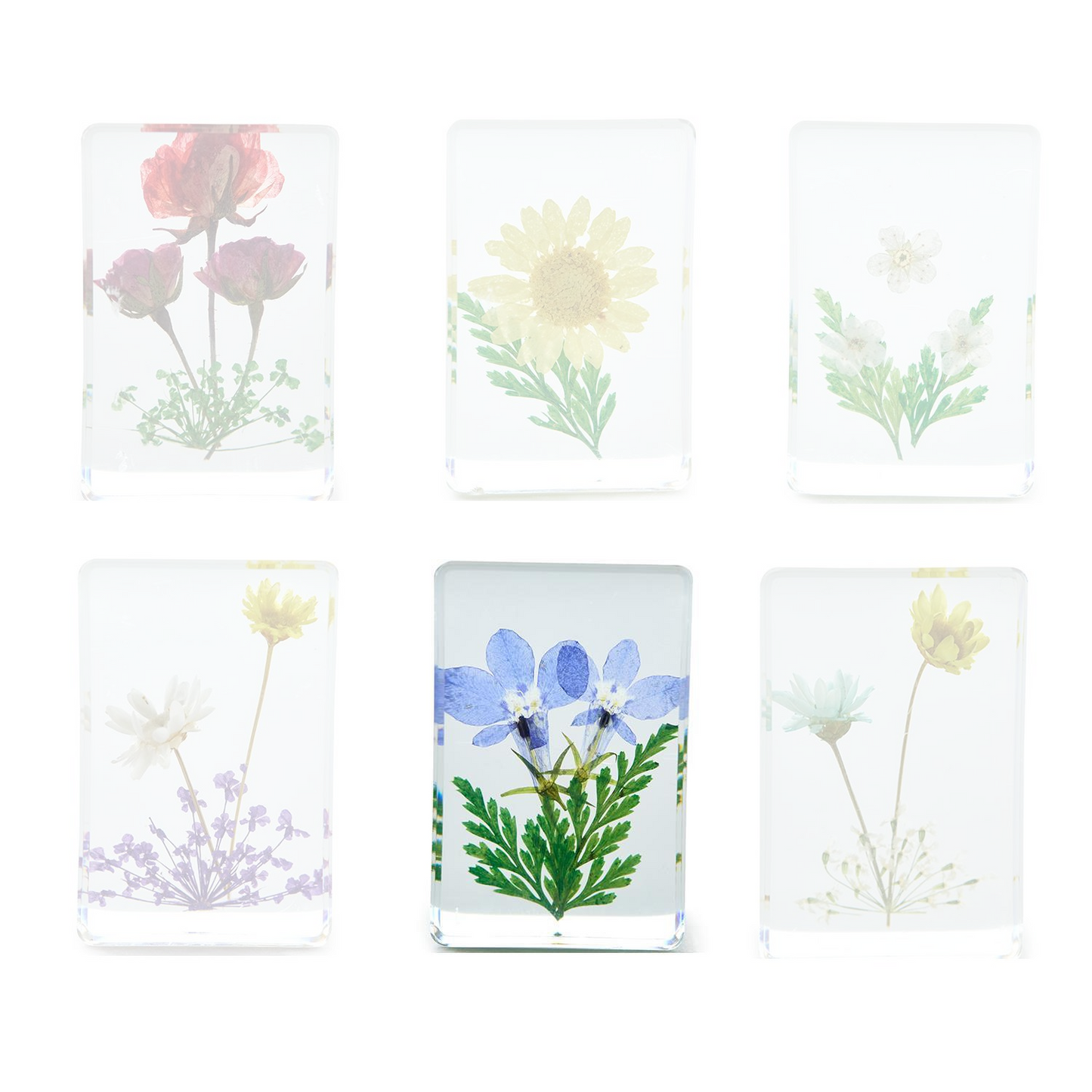 Wildflowers Pressed Floral Keepsake in Gift Box