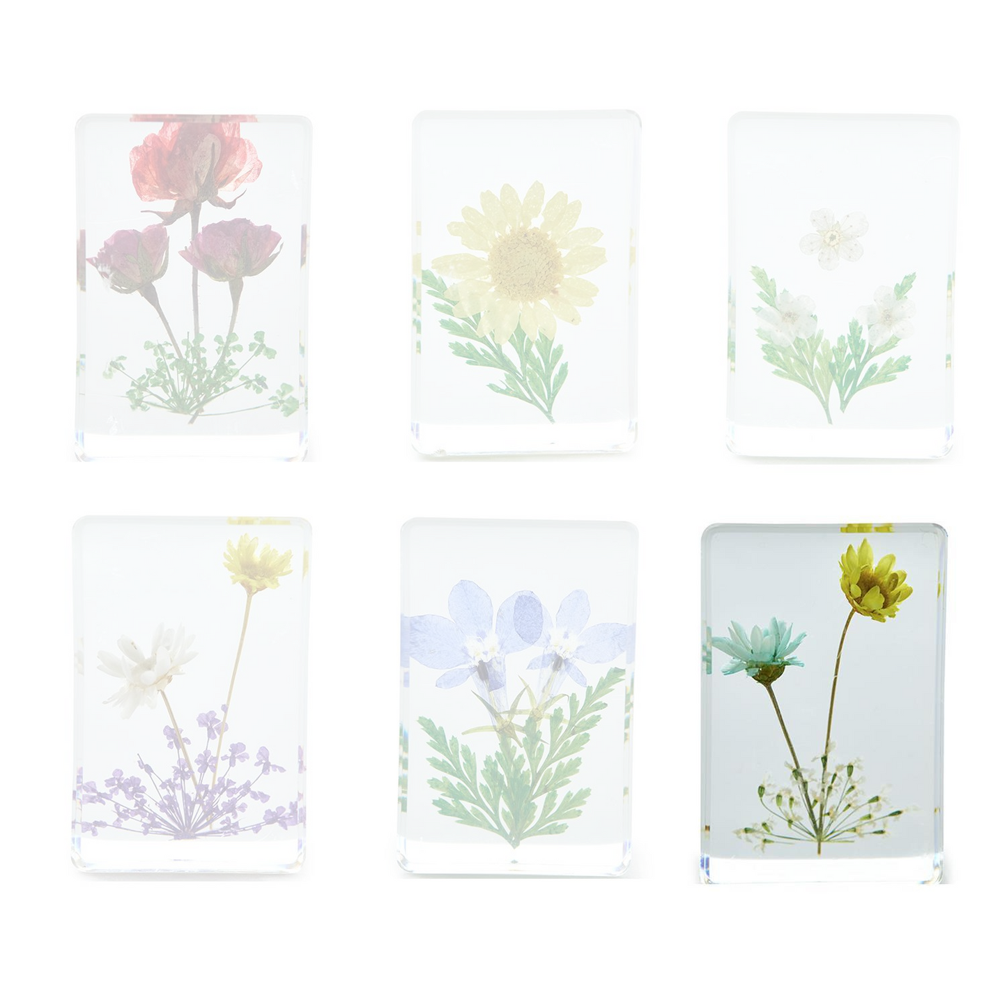 Wildflowers Pressed Floral Keepsake in Gift Box