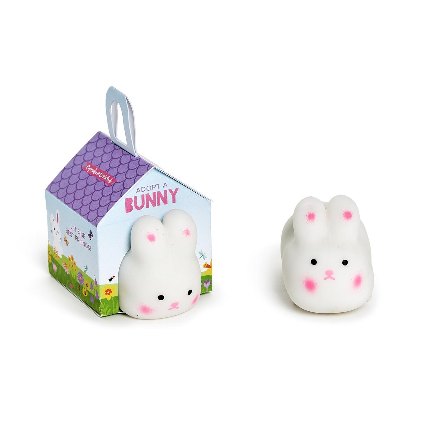 Stretch and Mold Bunny in Gift Box