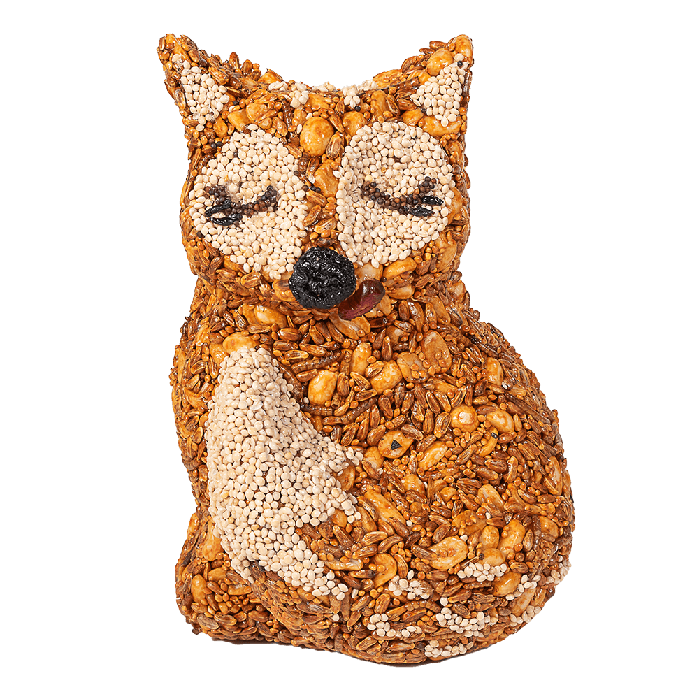 Hot Foxy Bird Seed