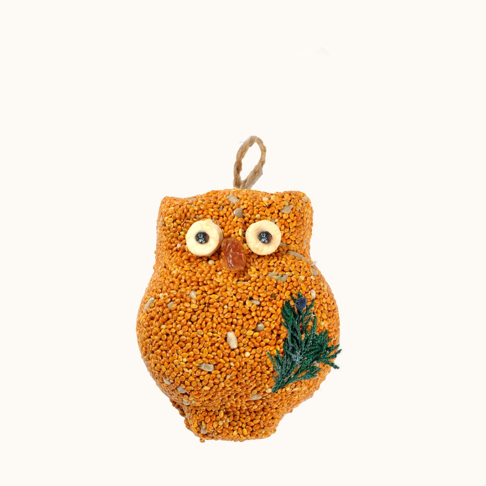 Ollie The Owl | Pack Of 3
