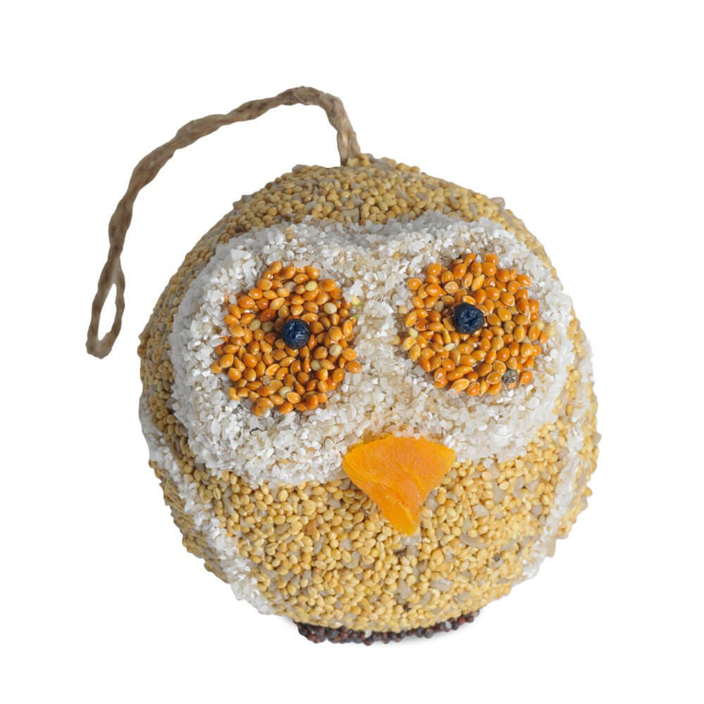 Woodland Friends Solid Seed Nut & Fruit Bird Seed