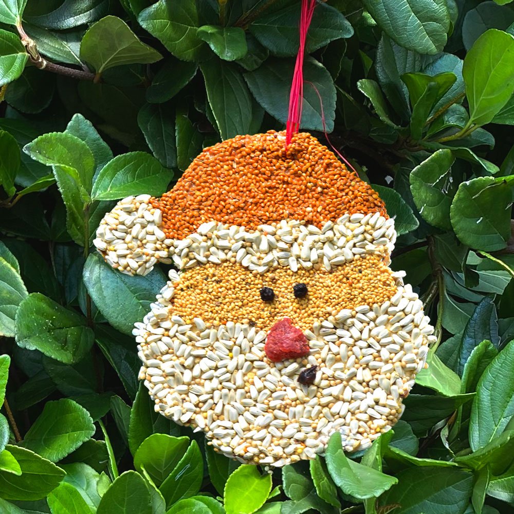 Wooden Christmas Cookie Bird Seed