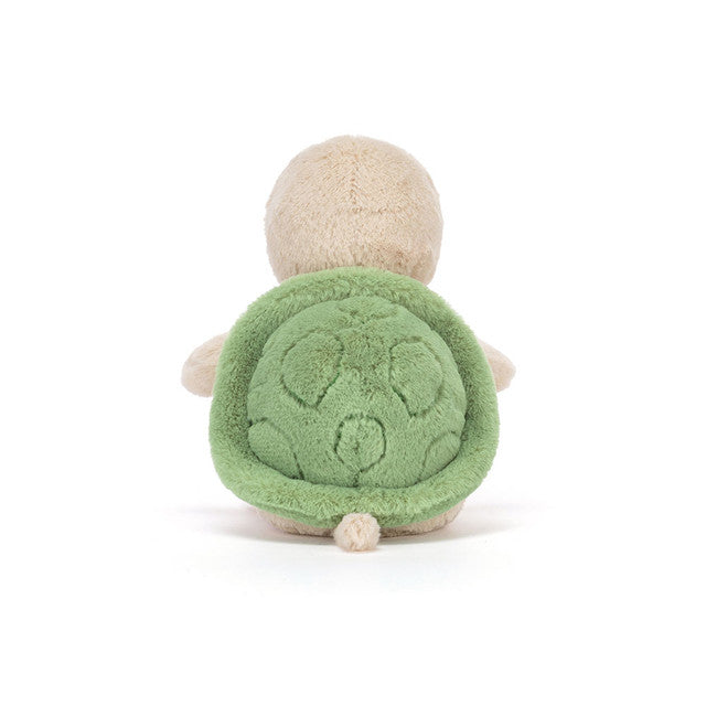 Thimble Turtle