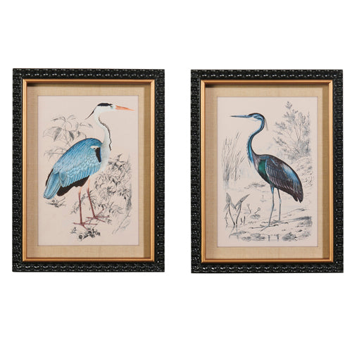 14" Wading Bird Framed Art | Set Of 2 | RAZ Imports
