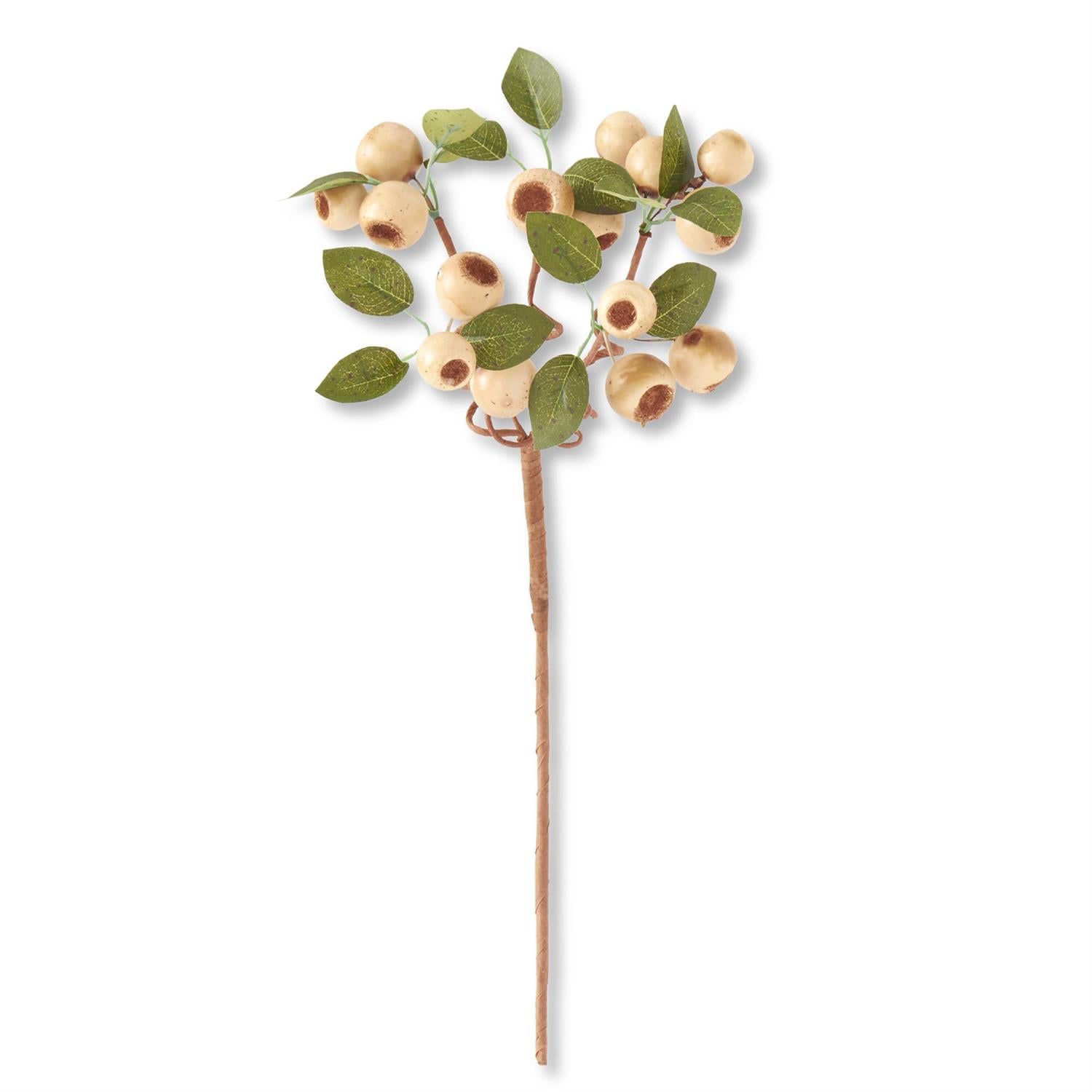 19" Cream Pod Stem w/Green Leaves