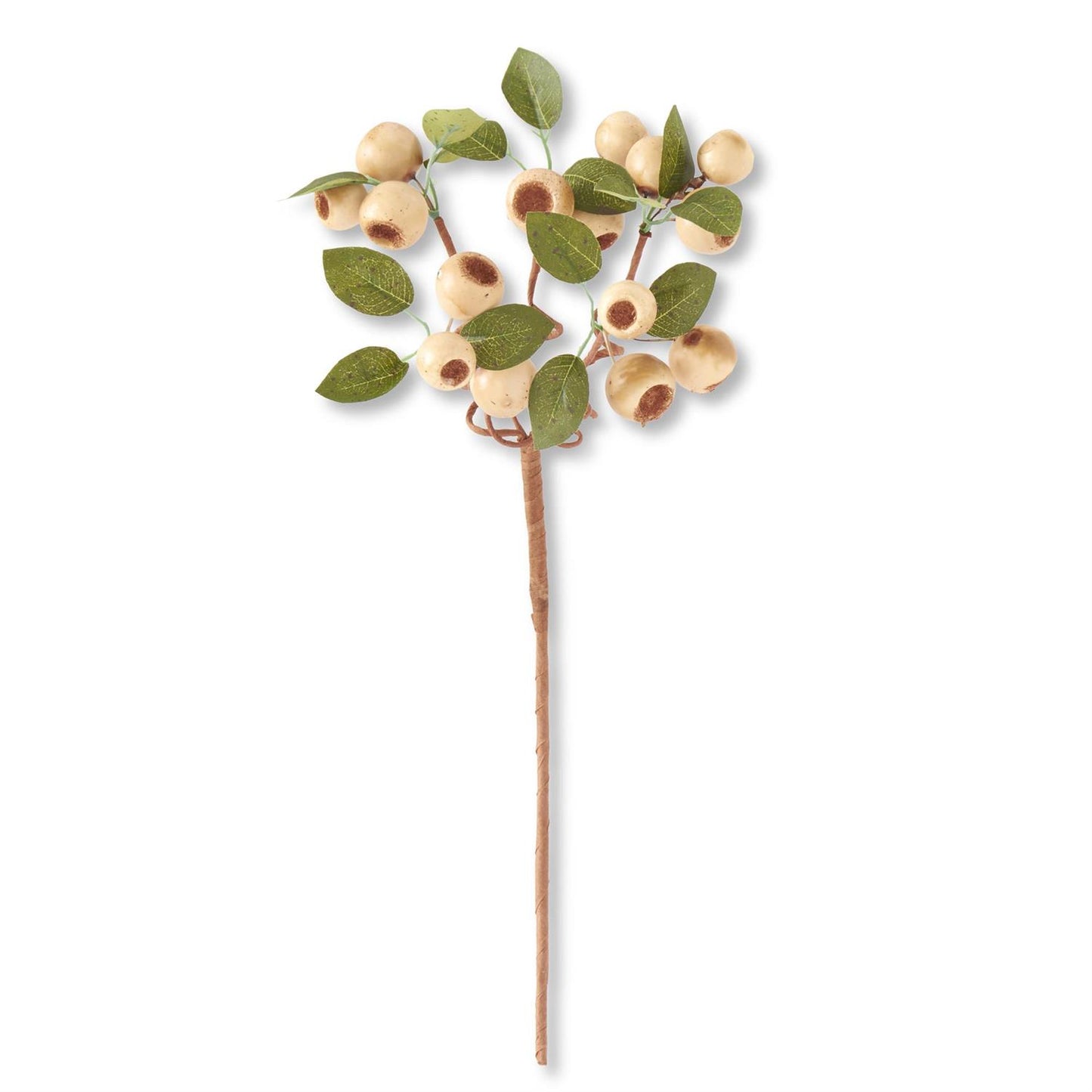 19" Cream Pod Stem w/Green Leaves