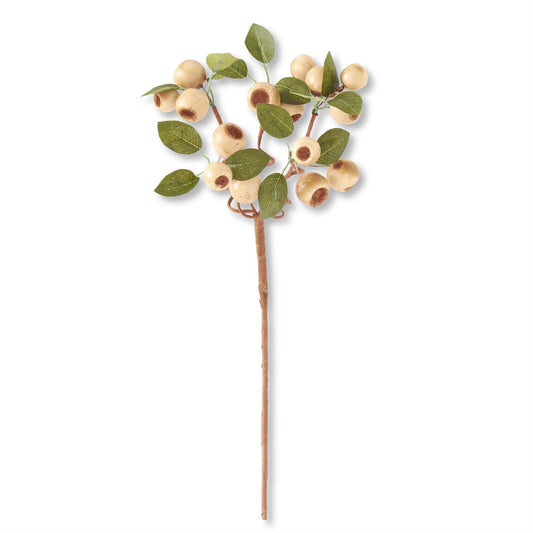 19" Cream Pod Stem w/Green Leaves