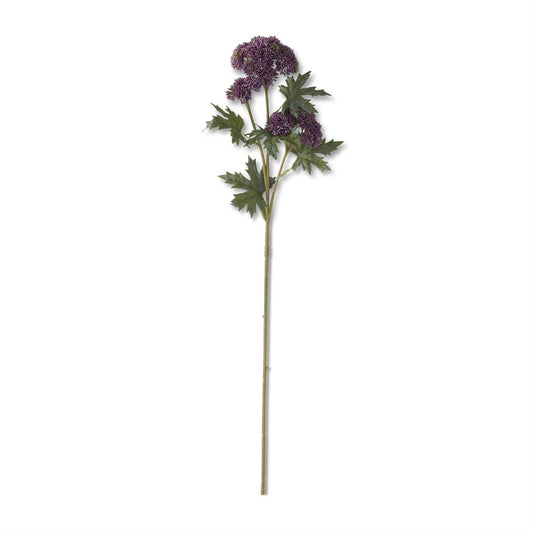 28 Inch Sedum Stem
