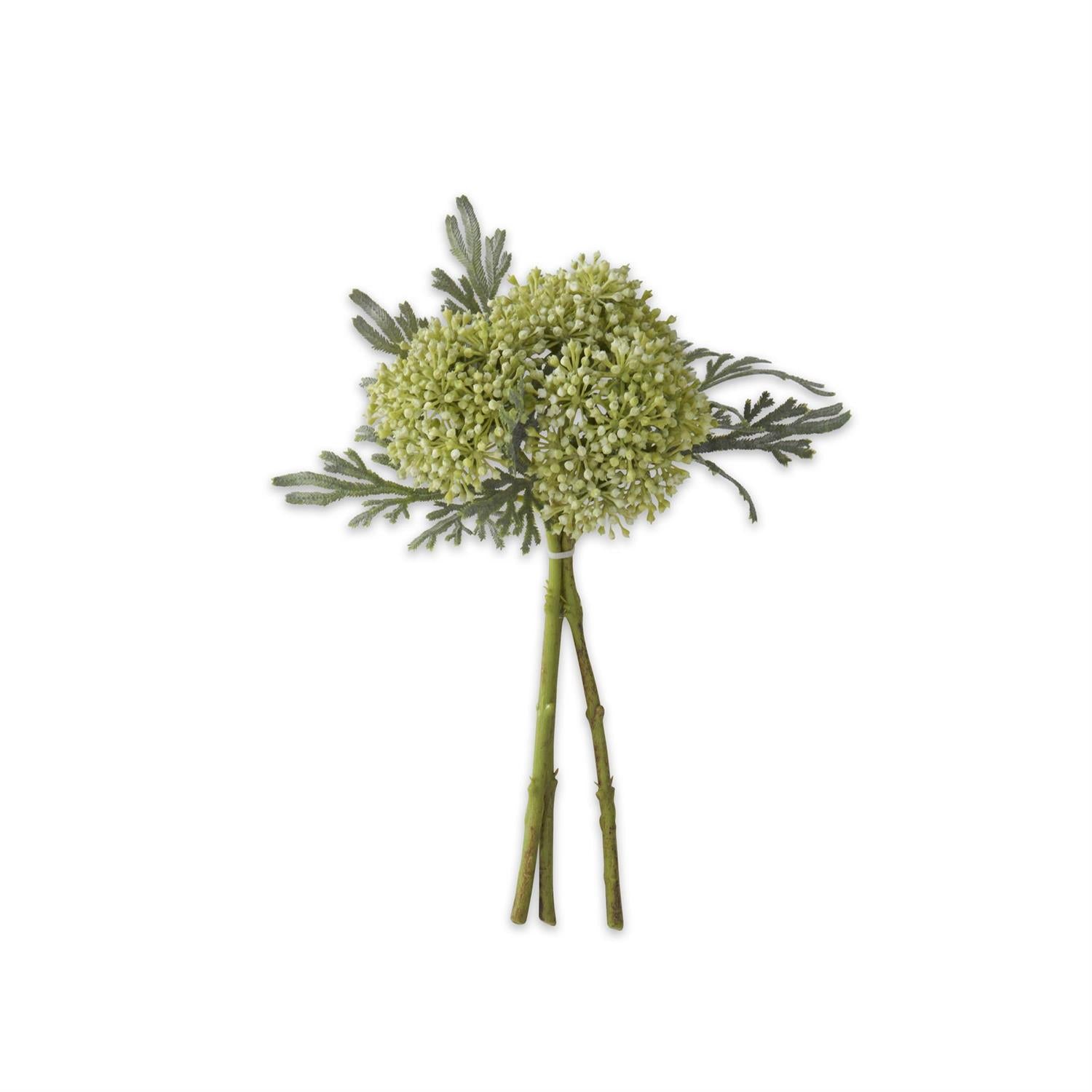 Sedum Bundle