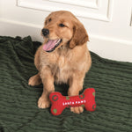 Dog sitting on a green blanket with a red 'Santa Paws' bone-shaped toy