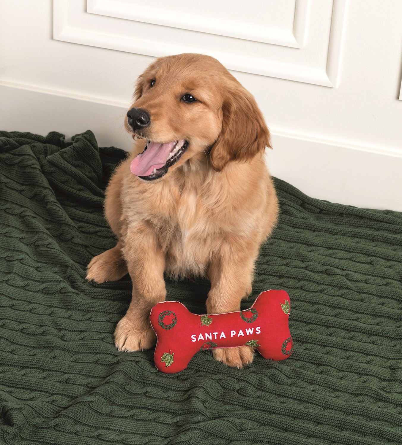 Dog sitting on a green blanket with a red 'Santa Paws' bone-shaped toy