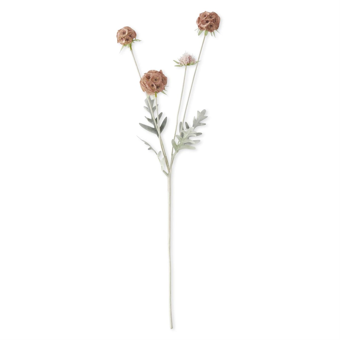 23.5" Pink Scabies Pod Spray