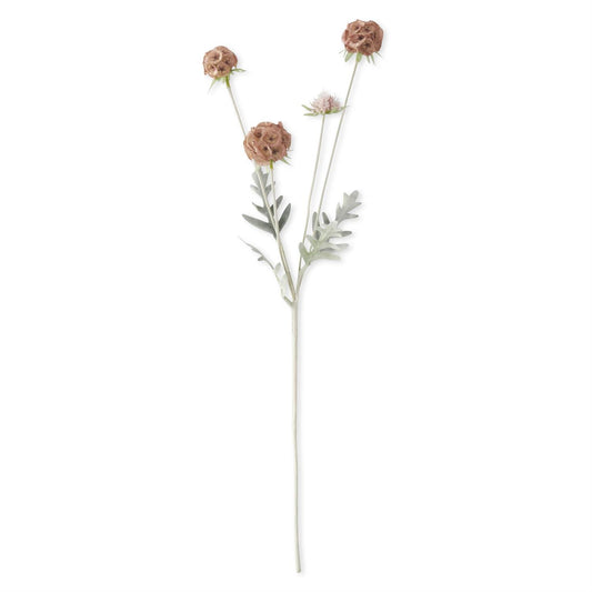 23.5" Pink Scabies Pod Spray
