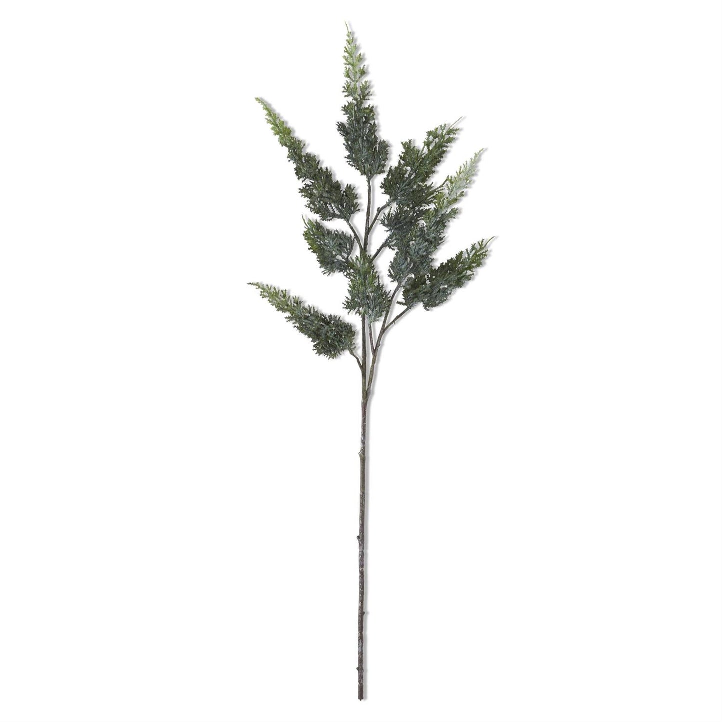 34" Real Touch Cypress Pine Stem