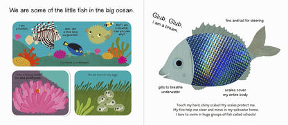 The Ocean (Touch and Explore) Book