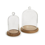 Two glass domes with wooden bases on a white background