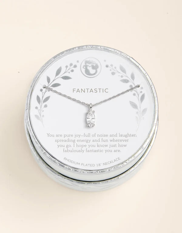 A rhodium-plated 18-inch necklace with a clear crystal pendant, displayed on a white circular card inside a round silver presentation box. The card features the word 'FANTASTIC' and a sentimental message, set against a warm cream background.