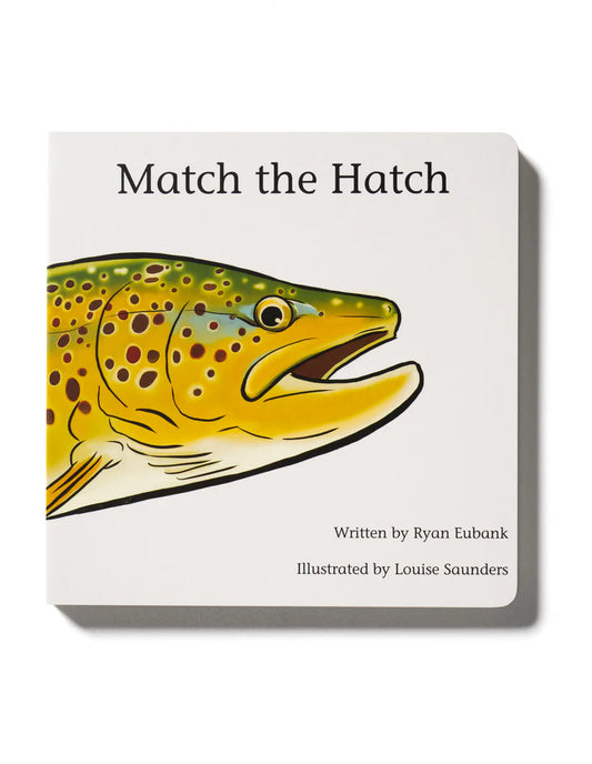 Match The Hatch Children's Book