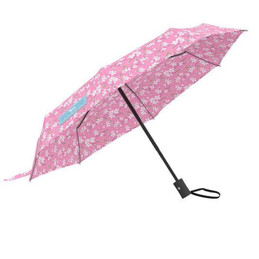 Umbrella | High and Dry | Scout
