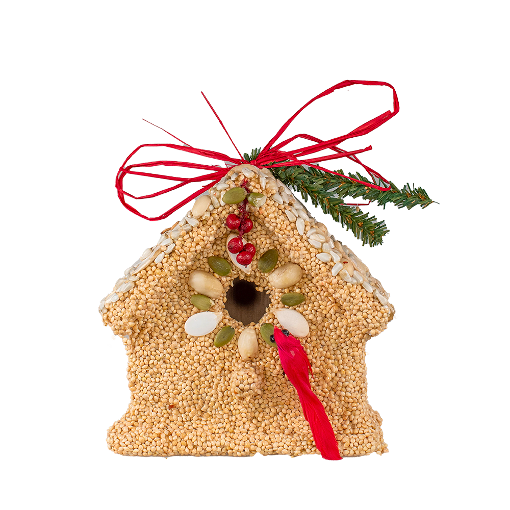 Poinsettia Birdie Cottage