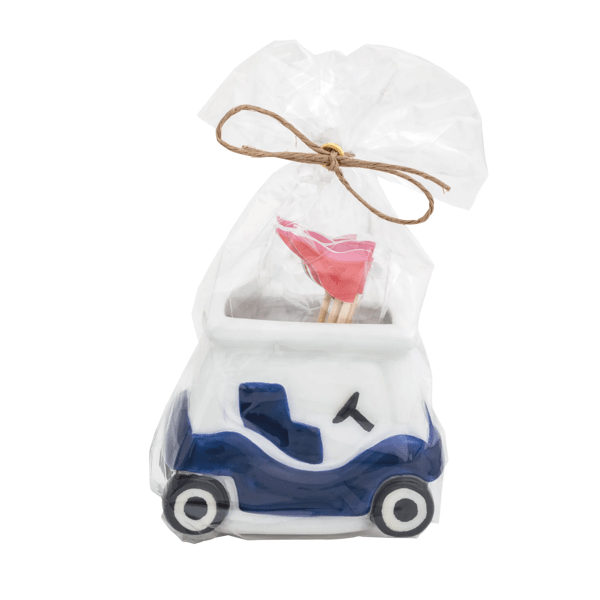 Toothpick Holder | Golf