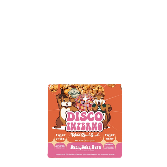Disco Inferno Small Cake