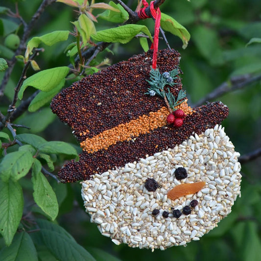 Wooden Christmas Cookie Bird Seed
