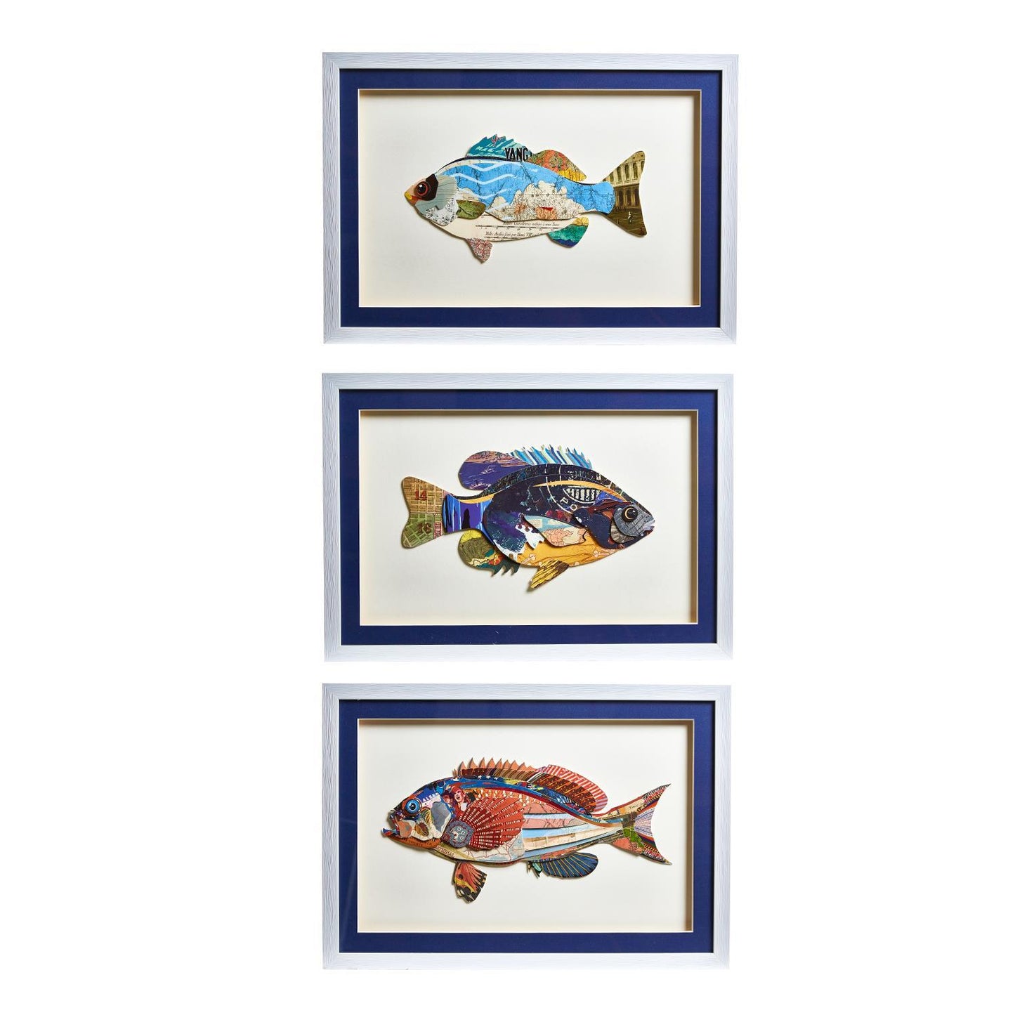 Fish Collage Wall Art | Set of 3