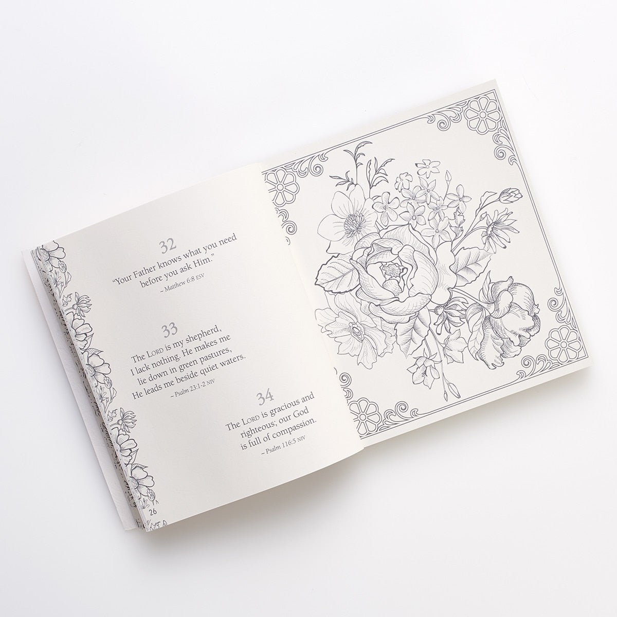 Coloring Devotional Book | 365 Promises From God's Word