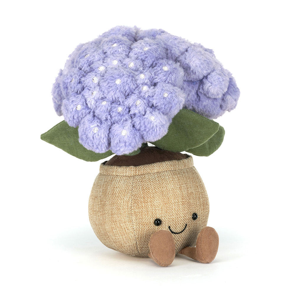 Amuseable Hydrangea