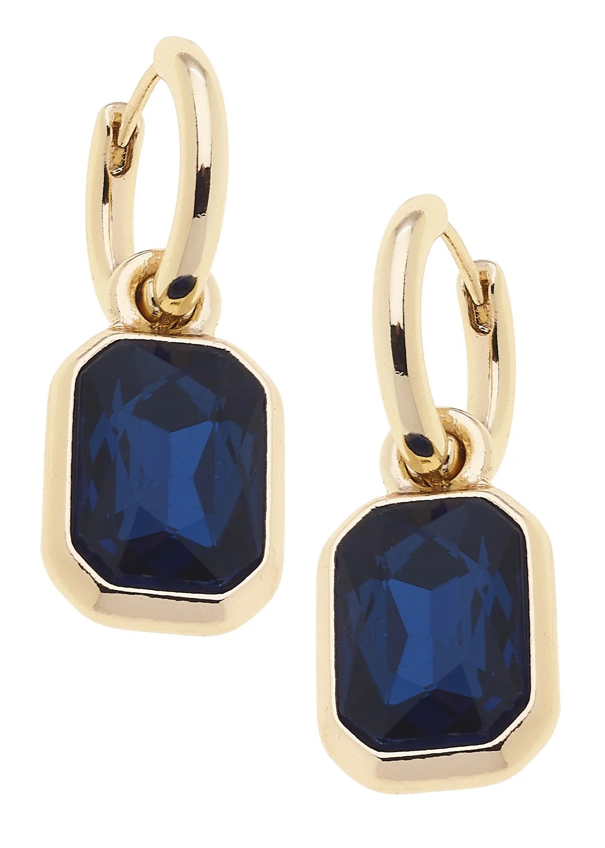 Reagyn Rhinestone Drop Hoop Earrings