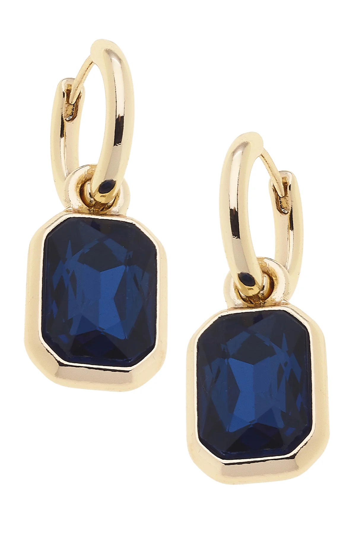 Reagyn Rhinestone Drop Hoop Earrings