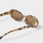 Sunglasses with tortoiseshell frame and brown lenses on a white background