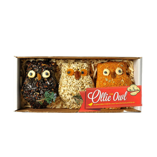 Ollie The Owl | Pack Of 3