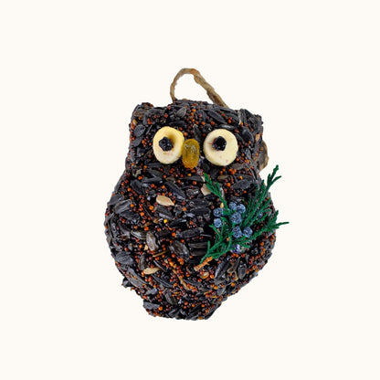 Ollie The Owl | Pack Of 3