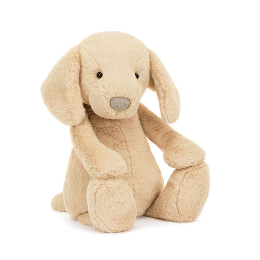 Bashful Luxe Puppy Orlando | Big