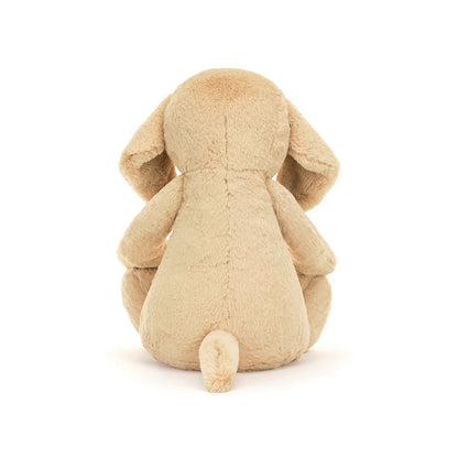 Bashful Luxe Puppy Orlando | Big