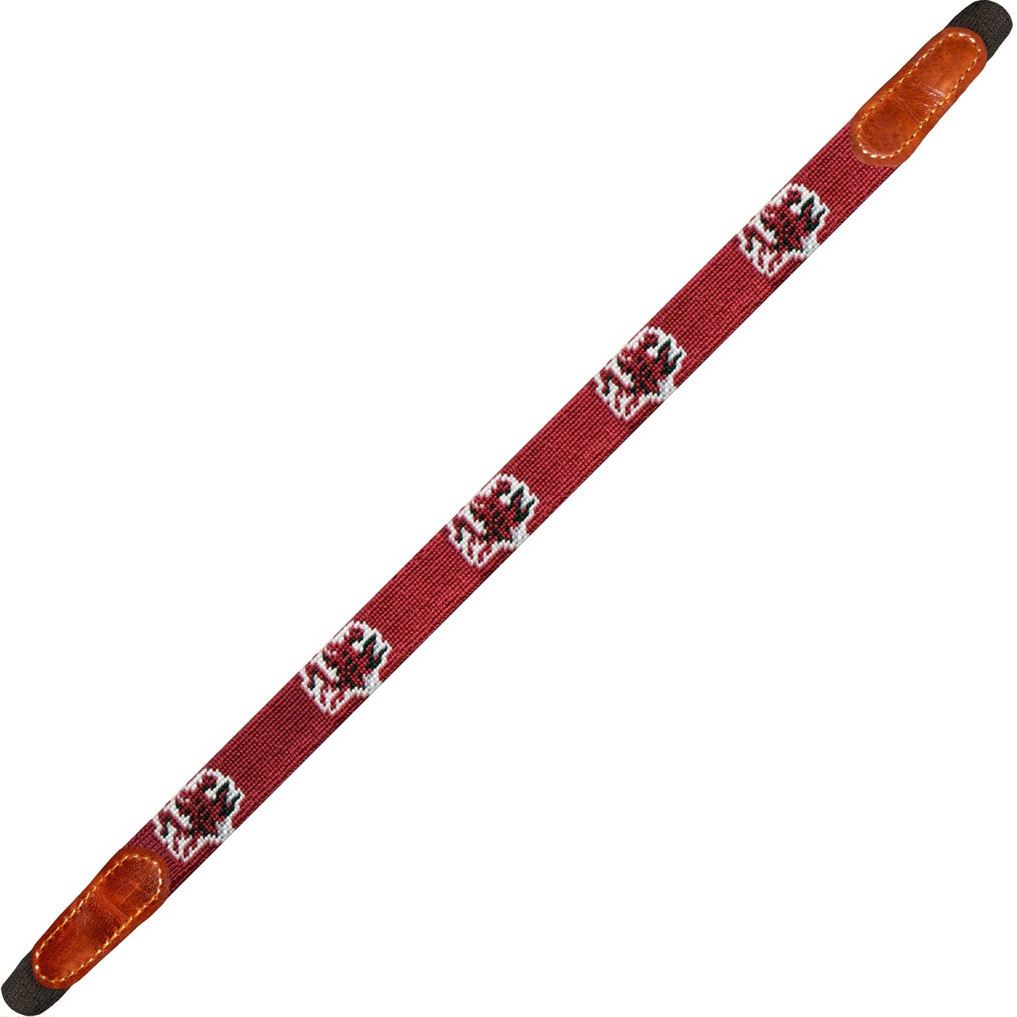 South Carolina Sunglass Strap