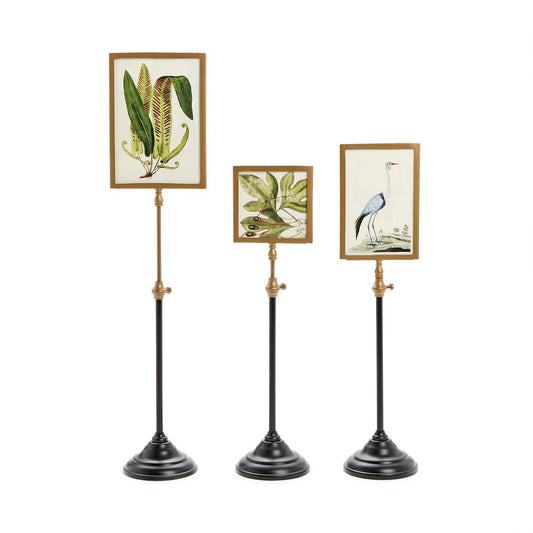 Double Sided Photo Frames on Telescoping Pole | Set of 3