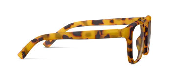 Progressive Eyeglasses | Zinnia