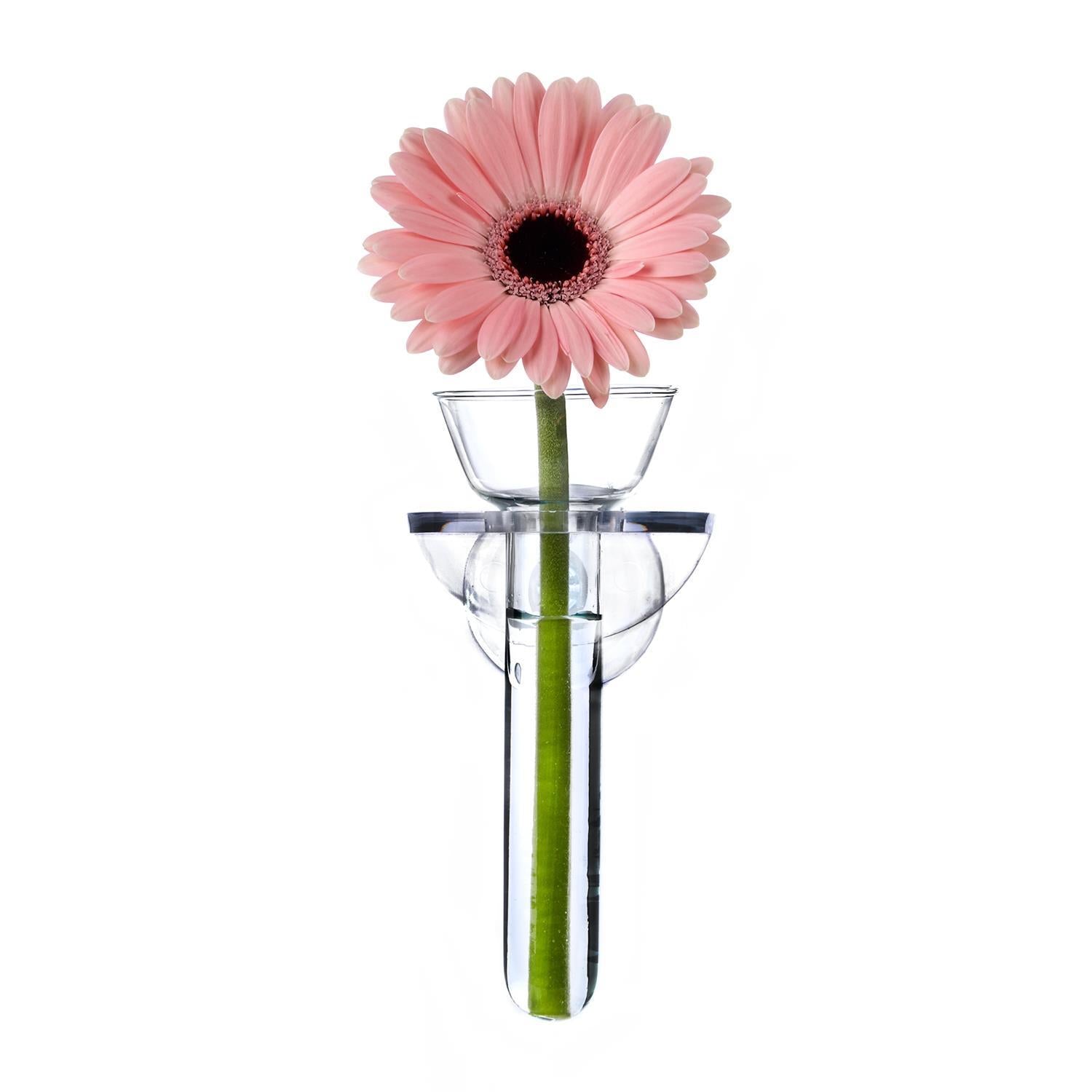 Wall Flower Vase In Gift Box