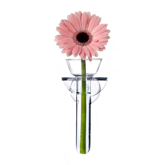 Wall Flower Vase In Gift Box